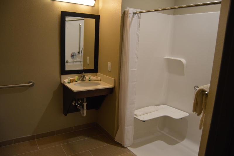 Double Room - Disability Access image 4