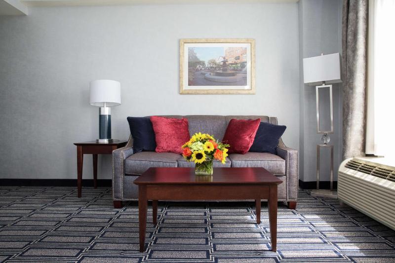 King Studio Suite with Sofa Bed - Non-Smoking image 3
