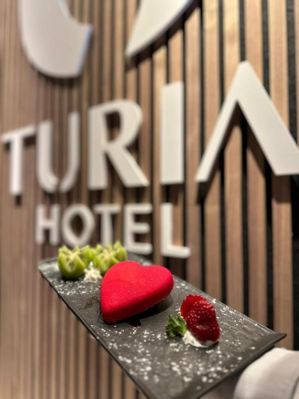 Hotel Turia Valencia - image 4