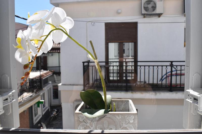 Pandora apartment - image 22