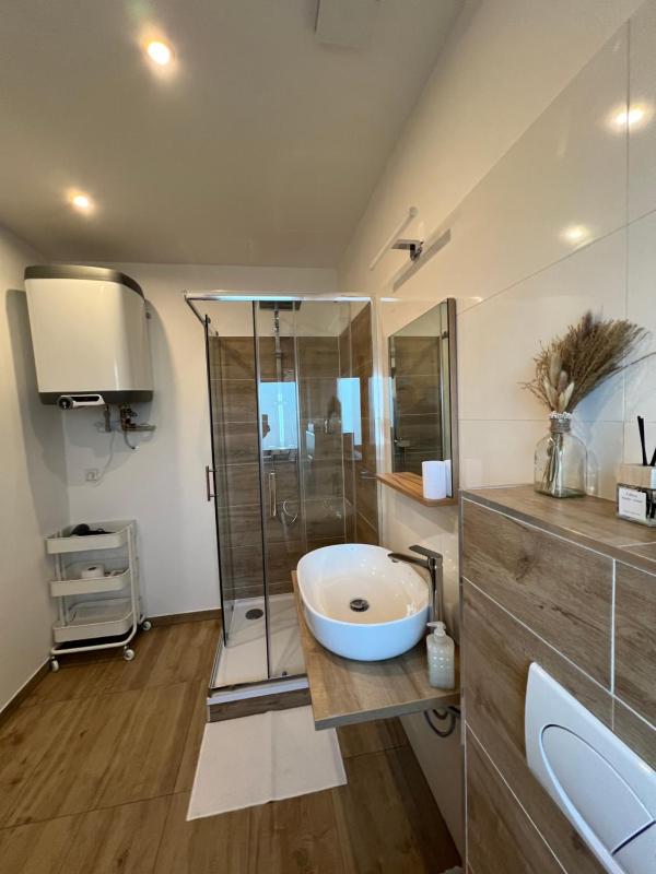 RK Apartment Holzova - image 8