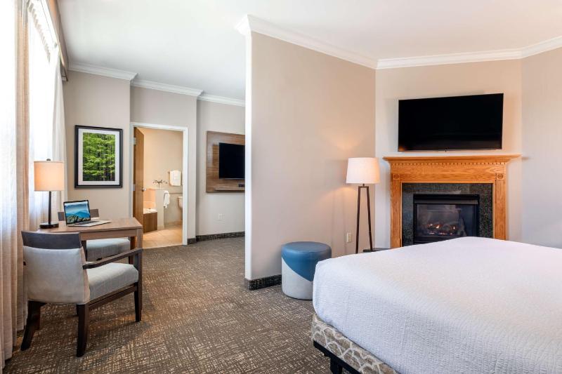King Suite with Roll-In Shower - Disability Access image 4