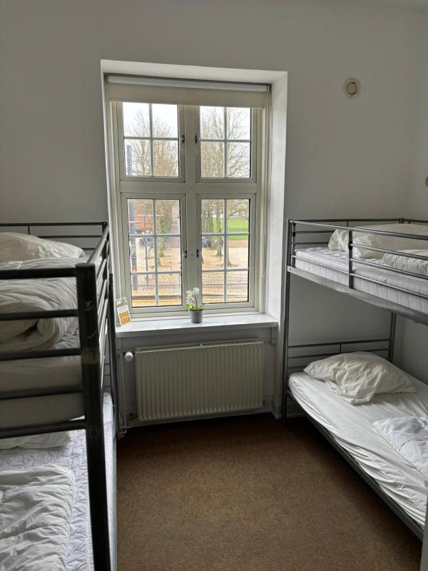 Standard Quadruple Room image 3