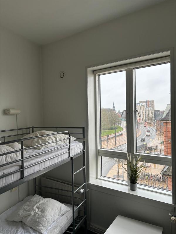 Standard Quadruple Room image 2