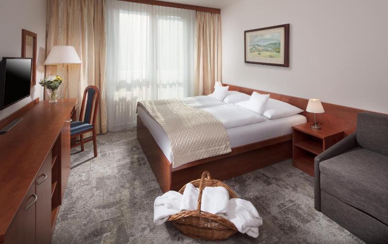 Superior Double or Twin Room with Free Wellness Access image 3
