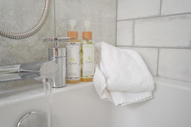 Deluxe Suite image 2