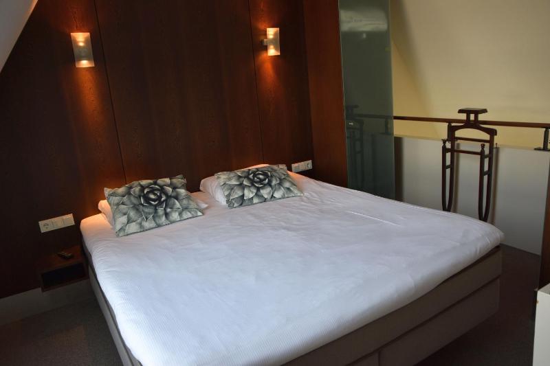 Suite - 1 King Bed  image 3