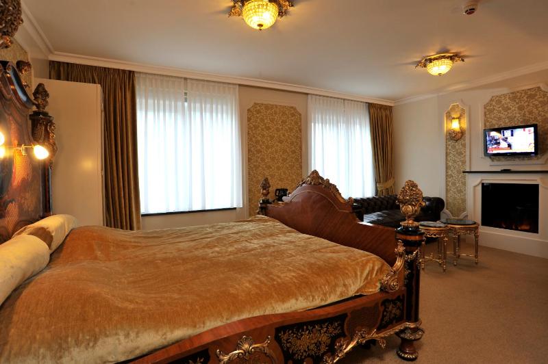 Superior Theme Suite - 1 King Bed 1 Sofa Bed  image 2