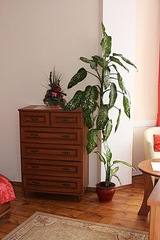 Double or Twin Room image 3