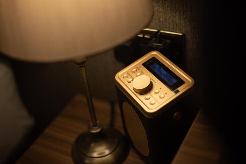 Deluxe King Room image 3