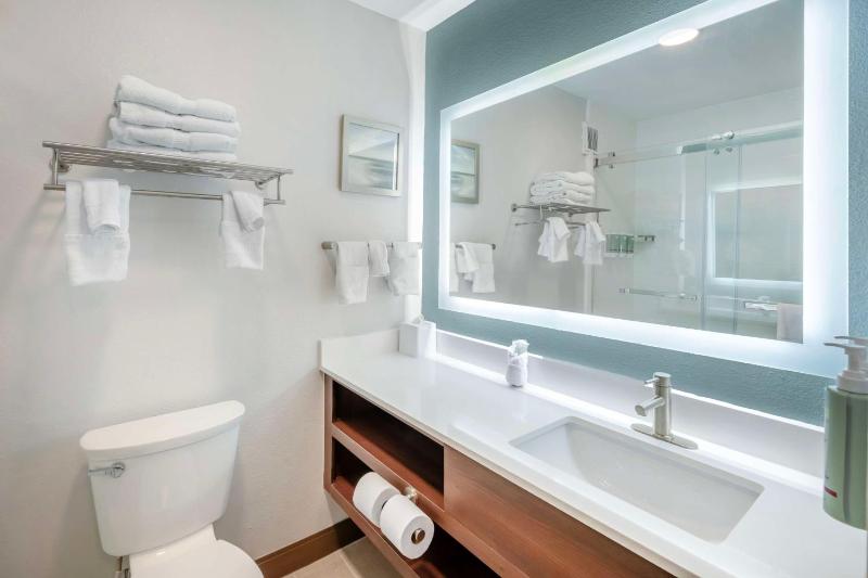 Large King Room with Walk-In Shower - Non-Smoking image 2