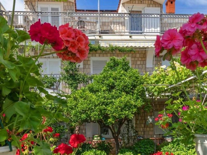 Apartments and rooms with a swimming pool Mlini Dubrovnik - 22386 - image 16