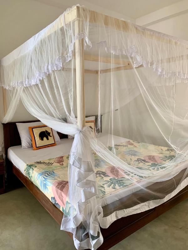 MrMango Weligama - image 12