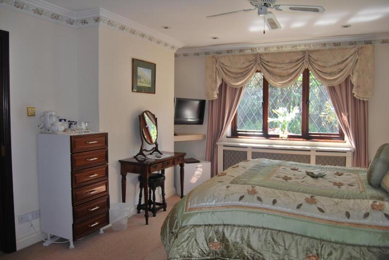 Deluxe Suite image 1