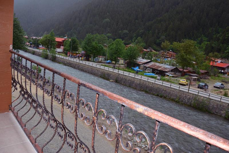 One-Bedroom Apartment with River View and Balcony image 4