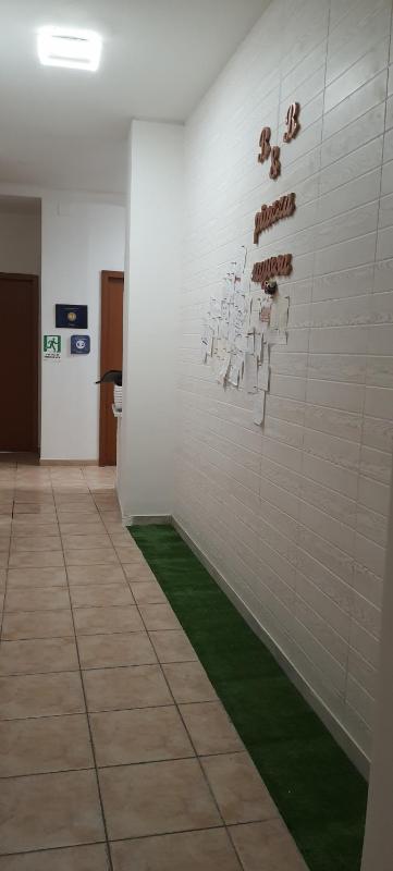 Standard Single Room with Shared Bathroom image 2