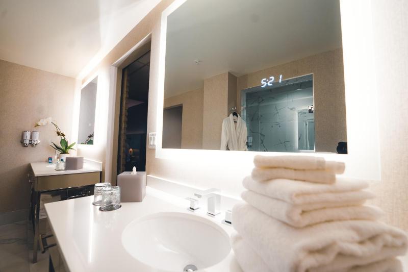 Posh Luxury King Suite image 3