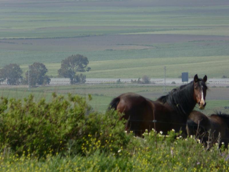 Double or Twin Room with Balcony and Sea View image 2
