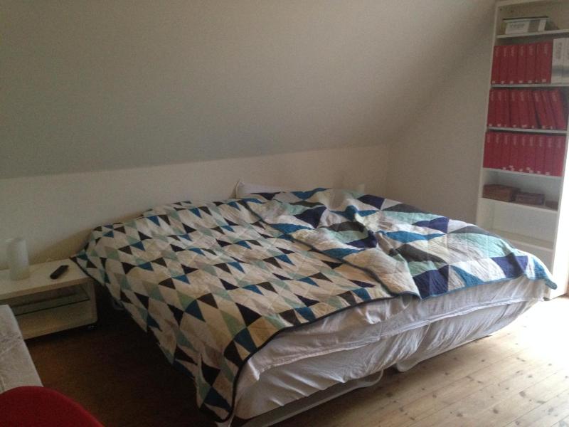 Double Room with Shared Shower and Toilet image 4