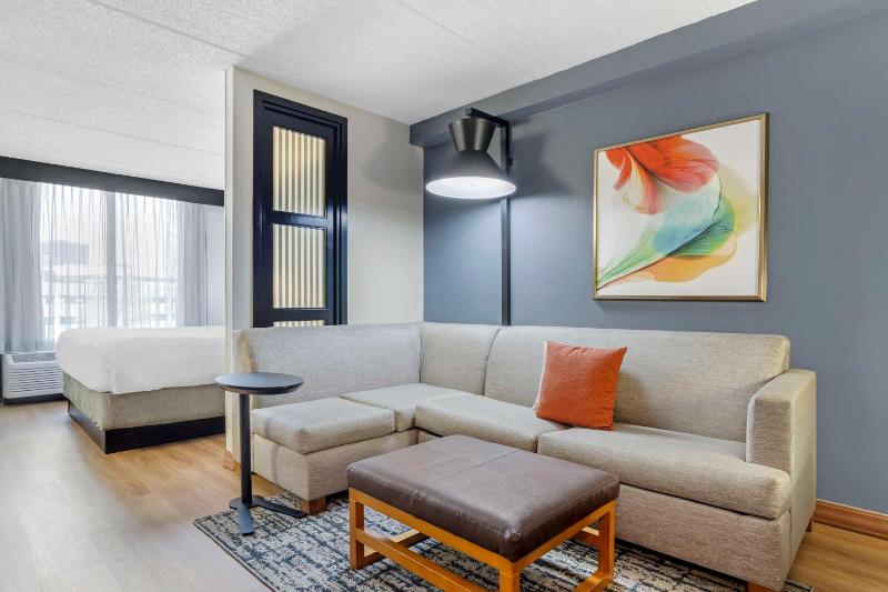 King Room with Sofa Bed and Roll-In Shower - Disability Access image 4