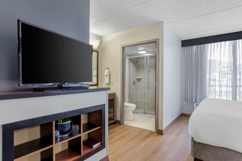 King Room with Sofa Bed and Roll-In Shower - Disability Access image 2