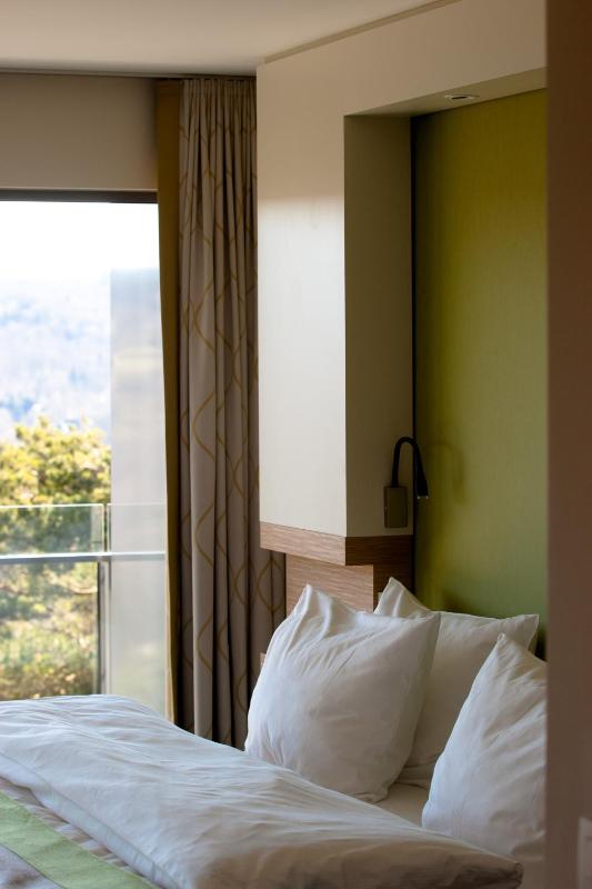 Lake View Suite image 3
