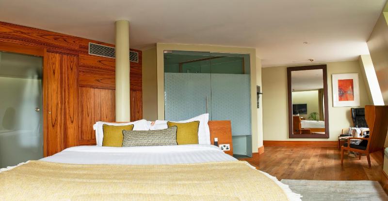 Junior Suite with View image 3