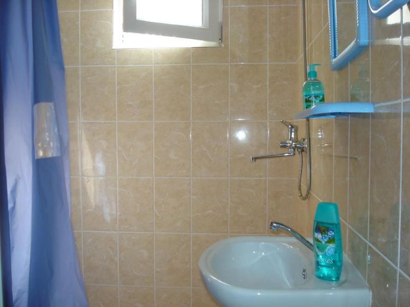 One-Bedroom Apartment image 2