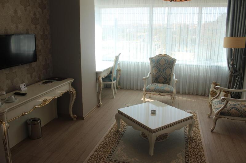 Standard Suite image 2