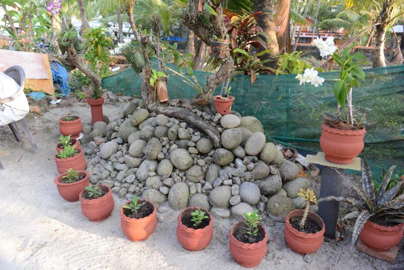 Royal Beach Abode - image 14