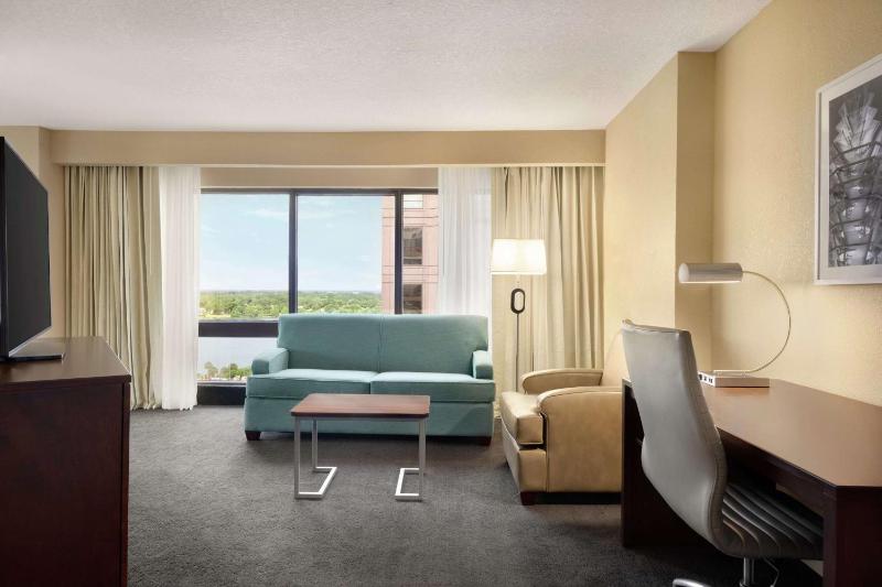 Junior King Suite with Sofa Bed image 4
