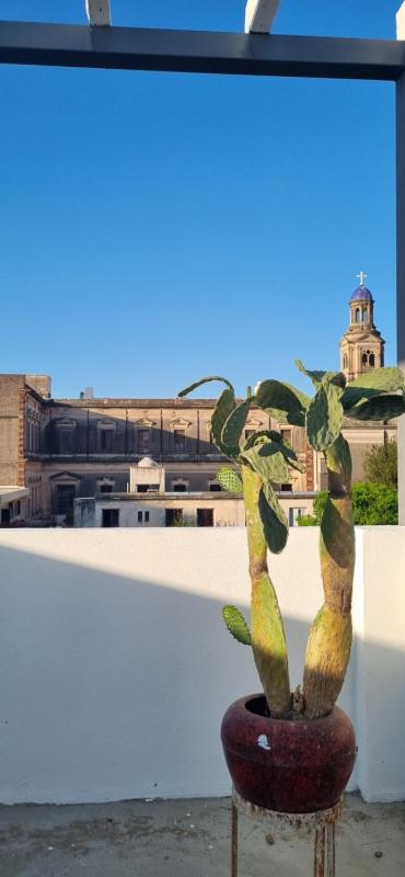 Dpto 1 RaGi - image 31