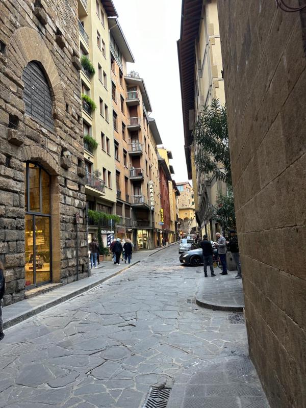 Borgo San Jacopo 8 - image 13