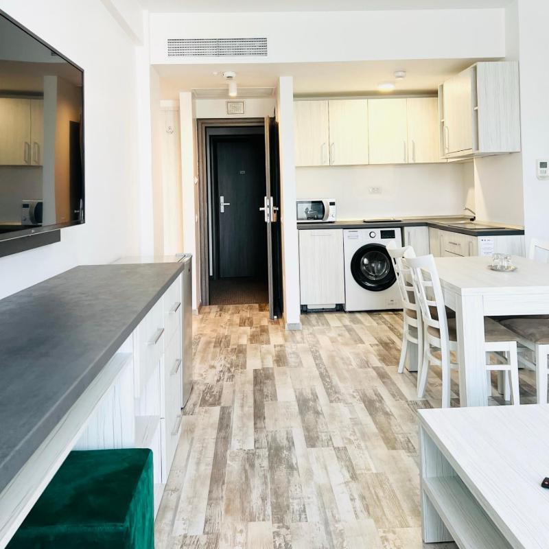 Casa Micle - Free Private Parking - image 25