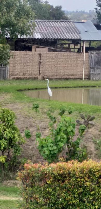 El Encanto De La Villa Campestre - image 11