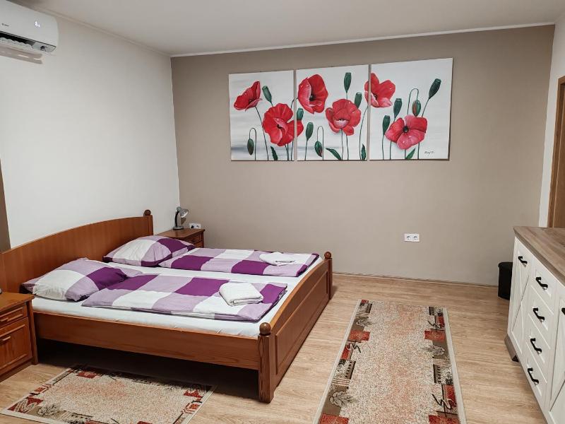 One-Bedroom Apartment image 3