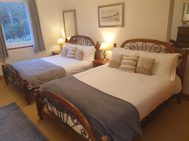 Deluxe King Room image 3
