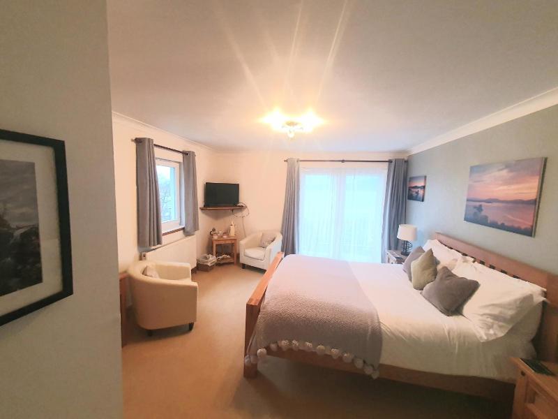 Deluxe King Room image 2