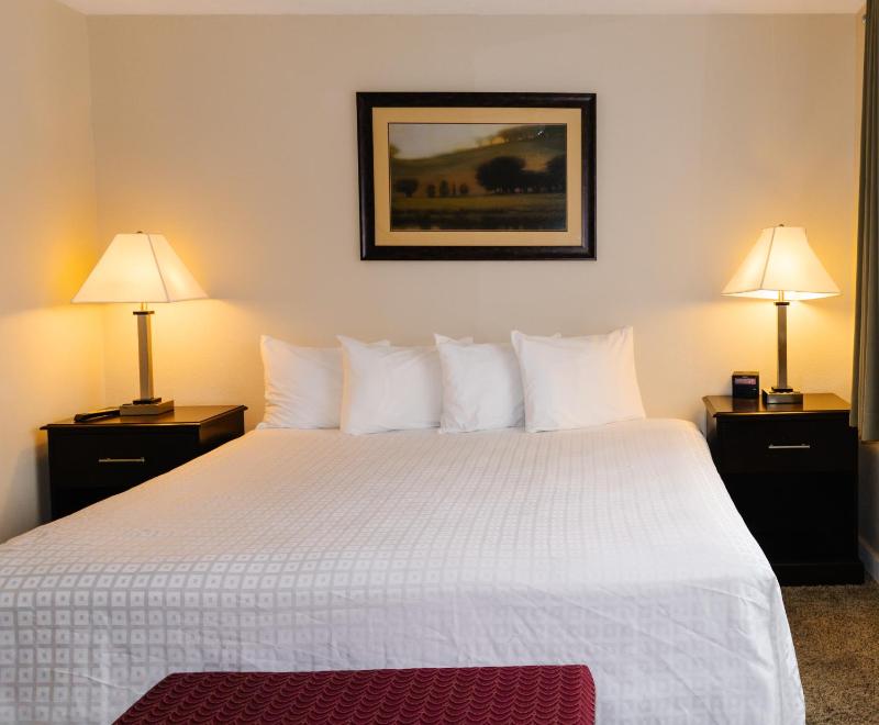 Mini Suite image 1