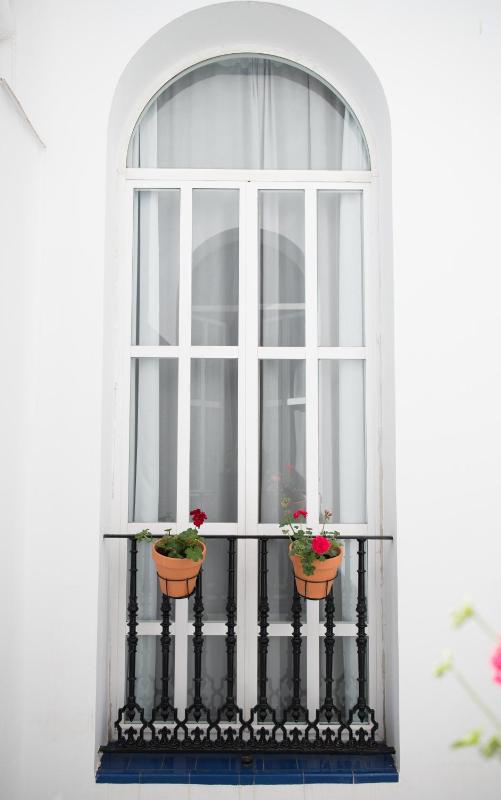 REY DE SEVILLA FLATS - Arenal - image 12