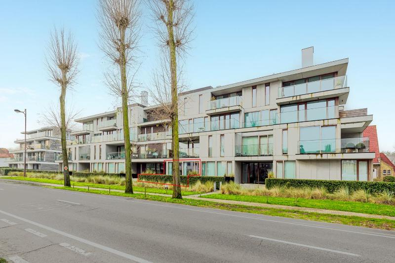 Maremonte Gv02 - image 18