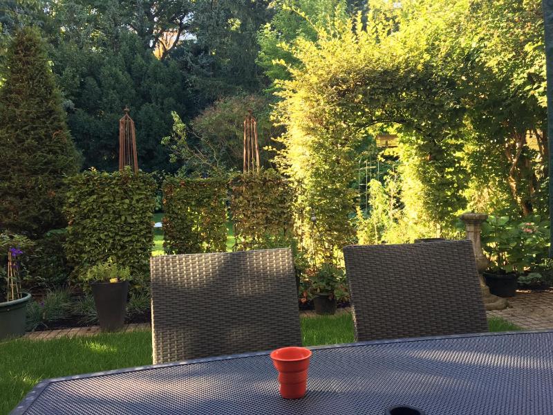 One-Bedroom Apartment image 2