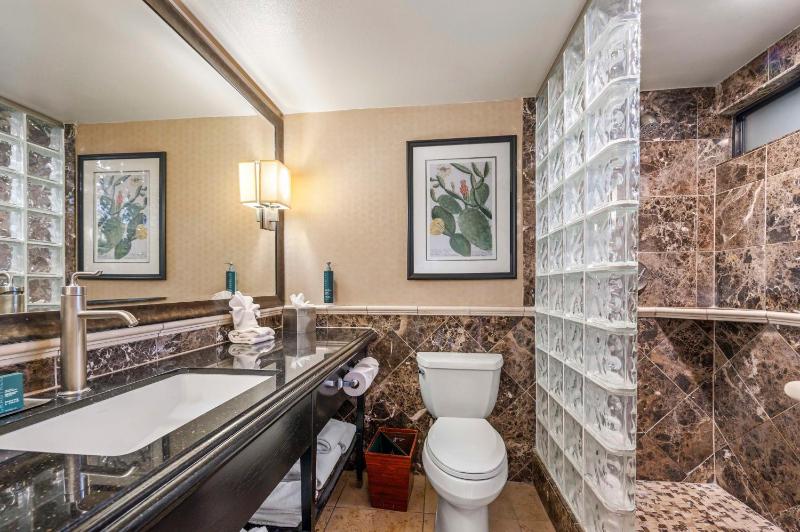 DoubleTree By Hilton Hotel Tucson-Reid Park - image 25