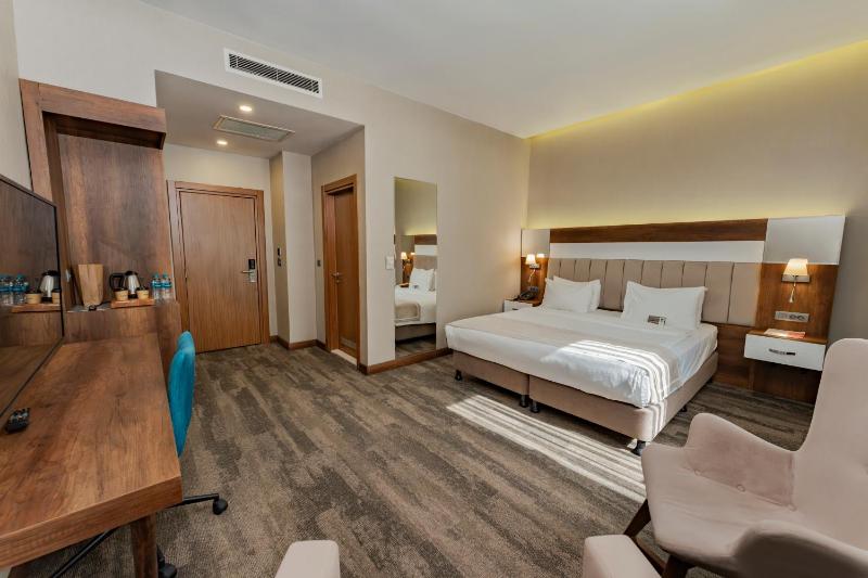 Deluxe Double or Twin Room image 4