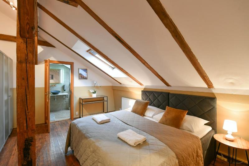 Amazing Charles Bridge Apartment - image 2