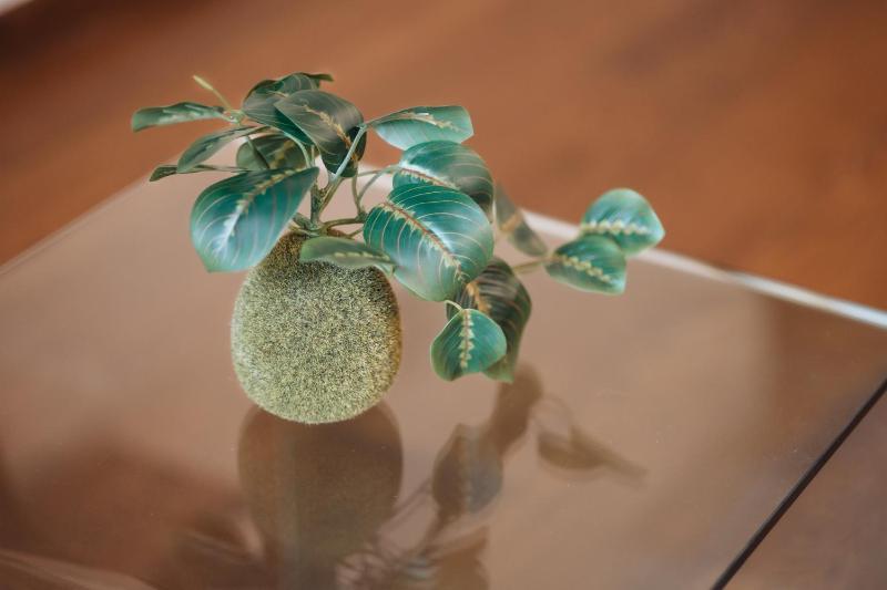 One-Bedroom Apartment with Balcony image 3