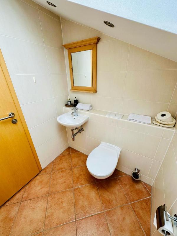 Deluxe Double Room with Private Sauna image 3