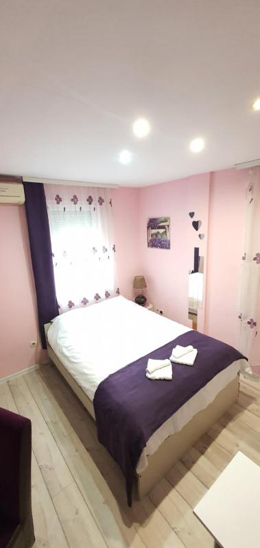 Studio Apartment image 4