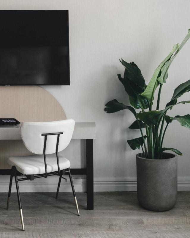 Classic, Guest room, 1 Queen