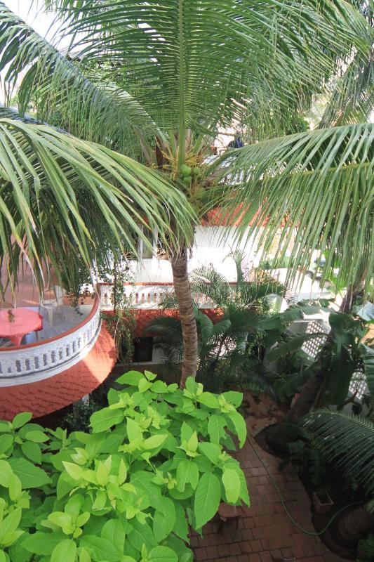 Daphne Hotel - image 12